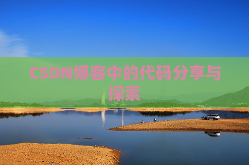 CSDN博客中的代码分享与探索